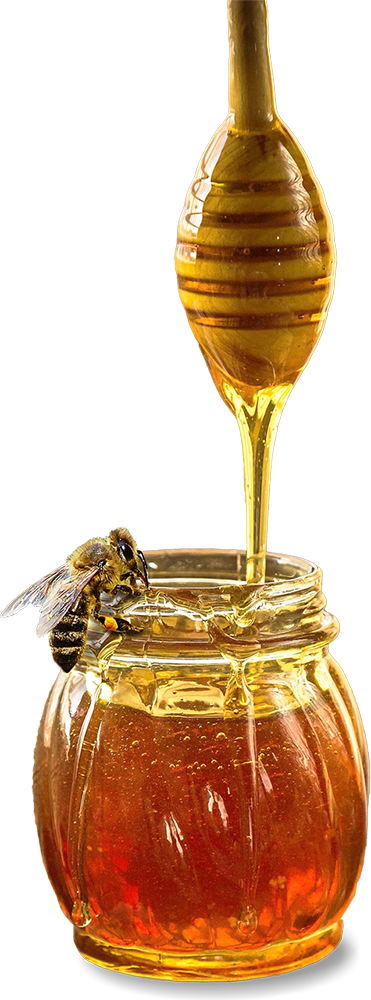 A honey stick drizzles honey into a jar and a bee sits on the lip of the jar